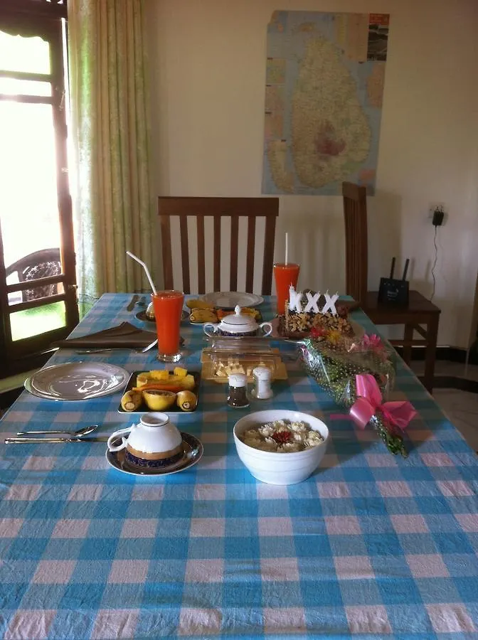 Bee Nest Bed & Breakfast Negombo Sri Lanka